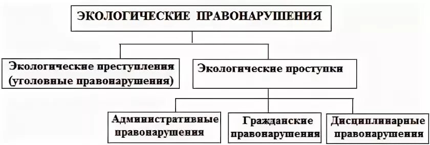 Экологическое право виды правонарушений. Юридическая ответственность за экологические правонарушения схема. Виды экологических правонарушений схема. Виды ответственности за экологические правонарушения.