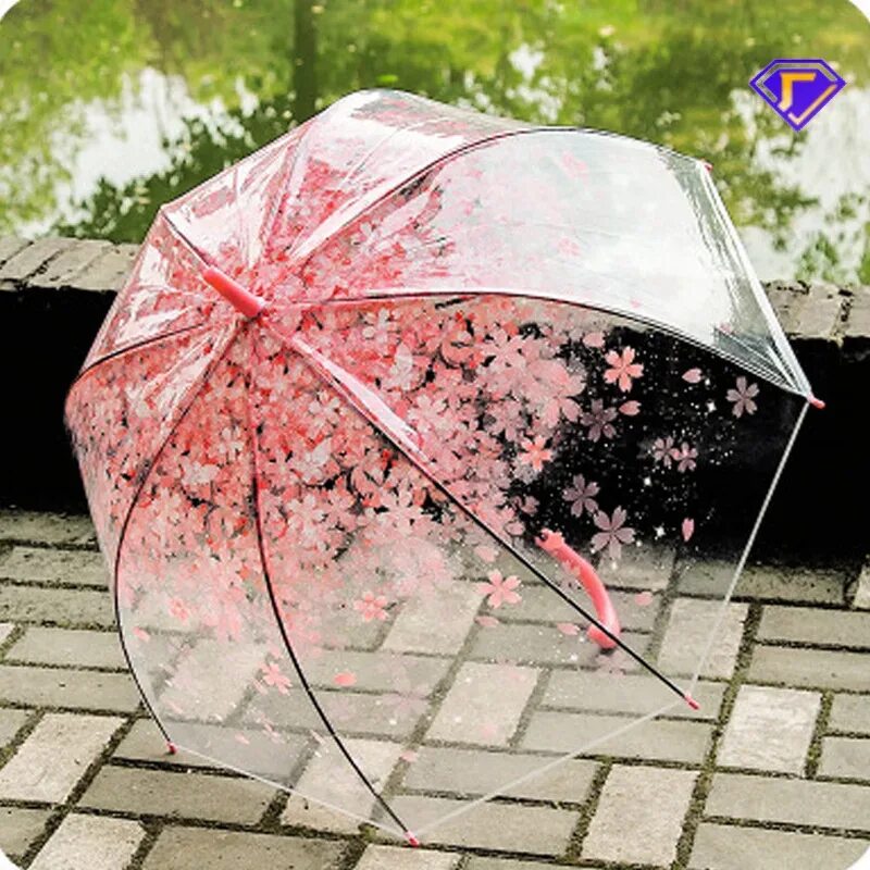 Прозрачные зонтики купить. Зонт Амбрелла прозрачный. Прозрачный зонтик. Шикарный зонт. Зонт купол прозрачный женский.