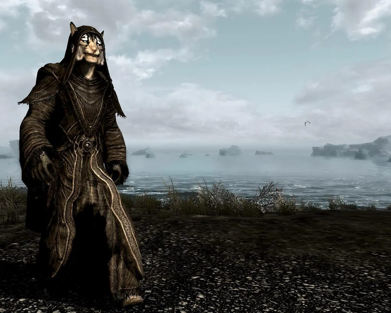Skyrim мод рюкзак. Пилигрим скайрим. Синедрион скайрим. Рифтен моды скайрим. Плащи скайрим le.