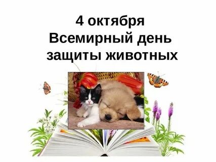 4 октября форум