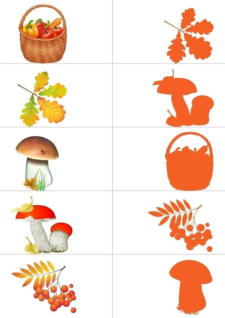 Дидактический материал по теме. Осенние задания для дошкольников. Осень для дошкольников. Осень задания для дошкольников. Осень задания для детей для дошкольников.