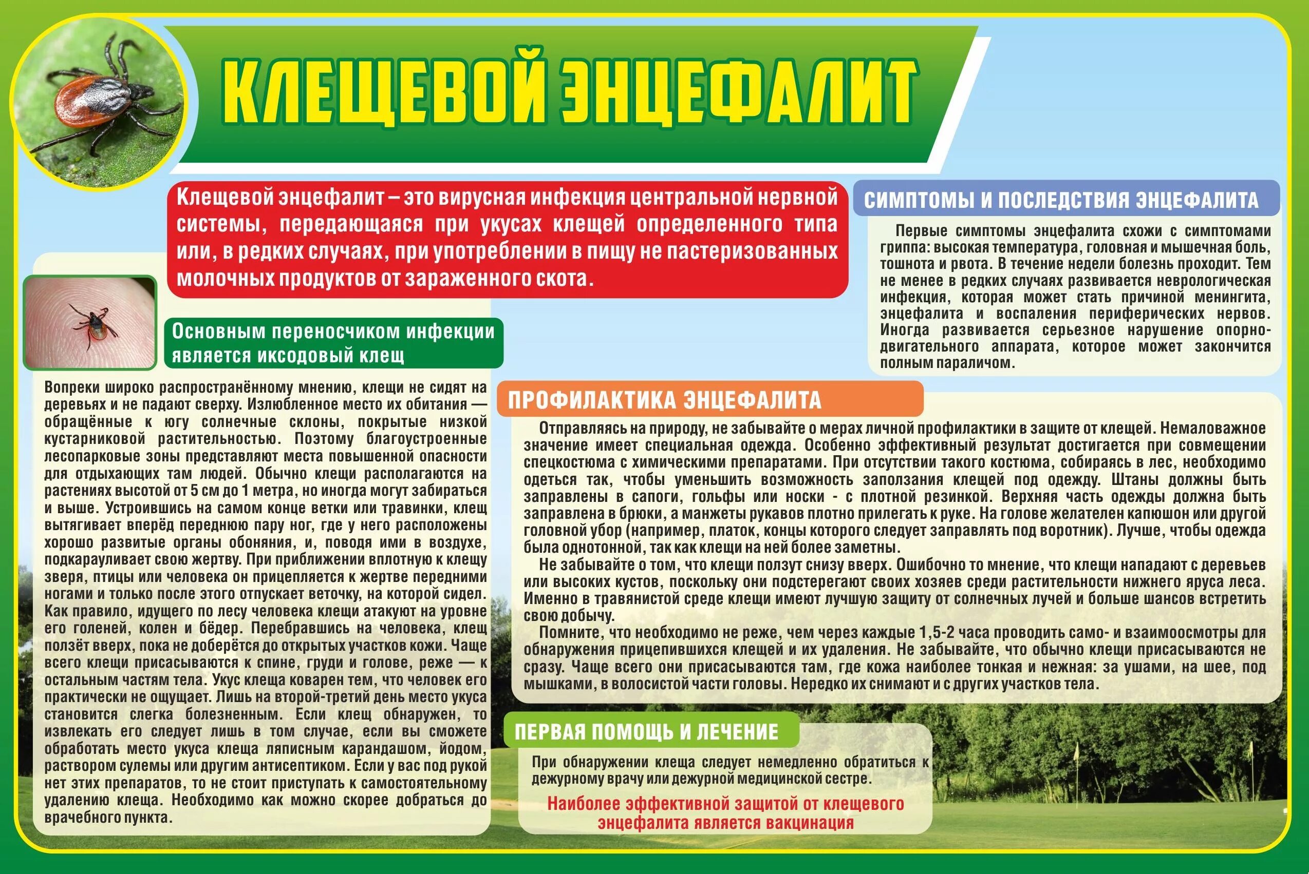 В какое время лучше обрабатывать. Клещевой энцефалит вакцинация памятка. Буклеты и памятки клещевой энцефалит. Памятка про клещей Роспотребнадзор. Клещевой энцефалит памятка Роспотребнадзор.