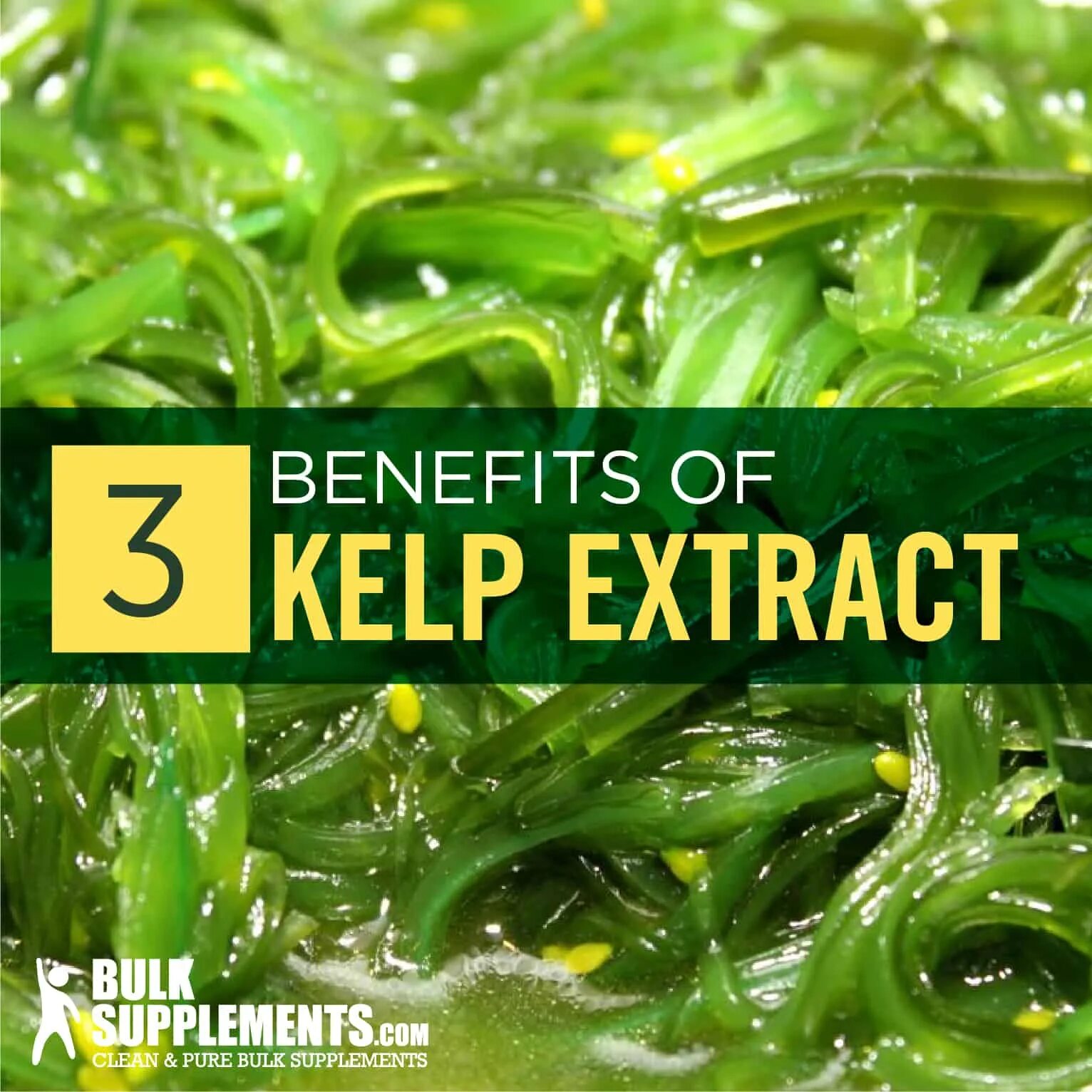 Kelp extract