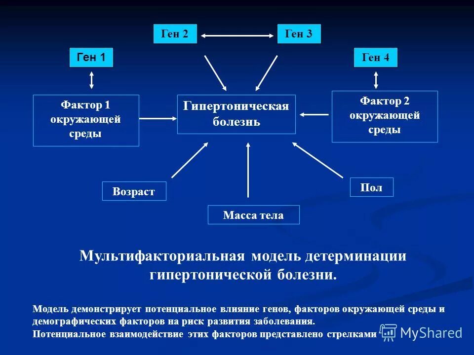 роль генетических факторов в эволюции. влияние условий среды на генотип. формирование фенотипа. совокупность внешних и внутренних признаков.