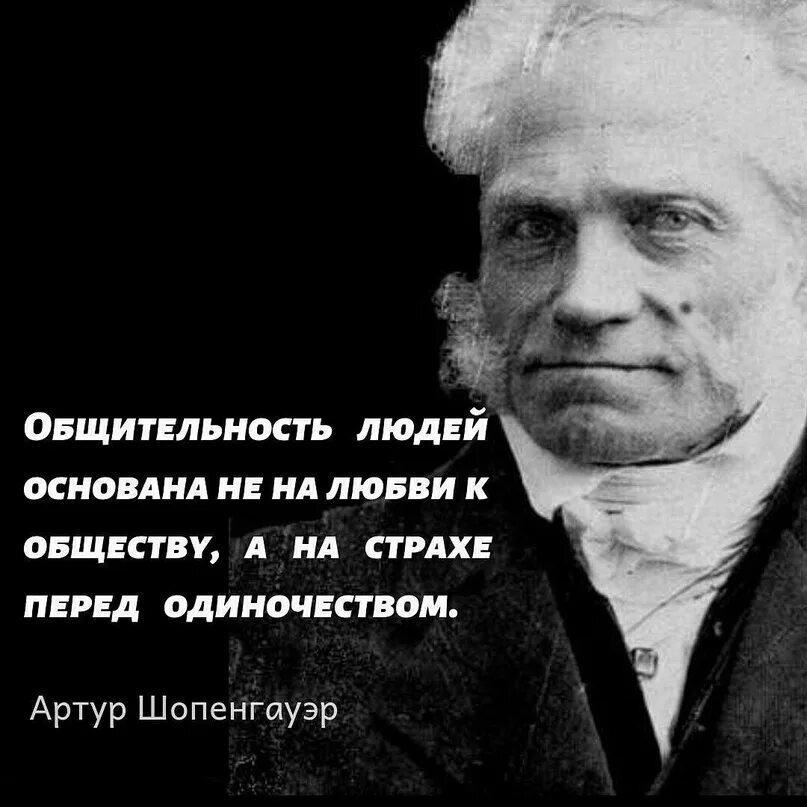 Шопенгауэр читать афоризмы. Высказывания шопенгауэра о любви. шопенгауэр цитаты о жизни.
