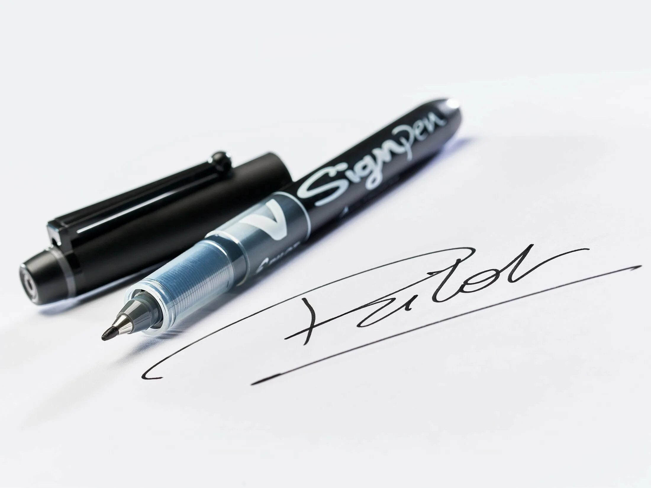 Sign pen
