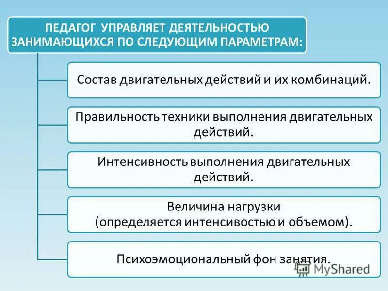 Какой деятельностью занимается. Какой деятельностью занимается