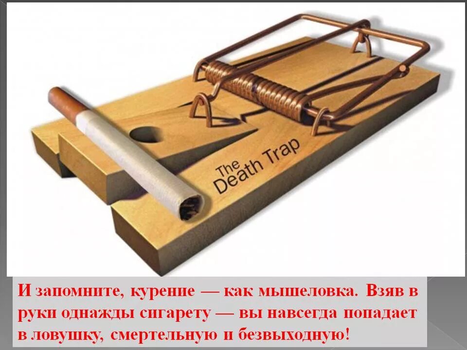 Попали в смертельную ловушку