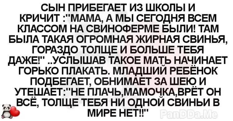 Я буду кричать мама. Анекдот про свинью. Анекдот про маму и свинью. Анекдот сын прибегает из школы. Анекдот про жирную свинью.