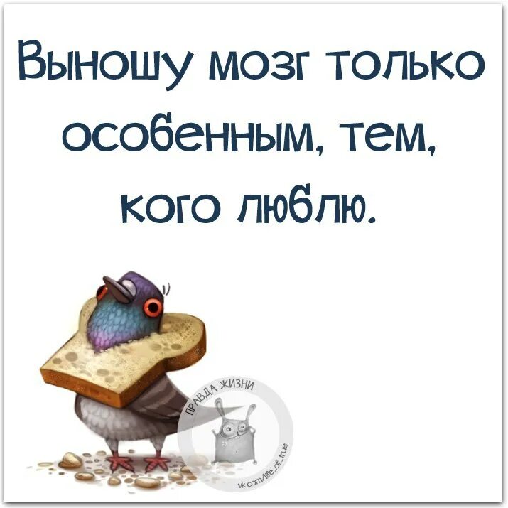 Прийти выносить. Прийти выносить. Прийти выносить. Не выноси мозг картинка. Высказывания про женщин которые выносят мозг.