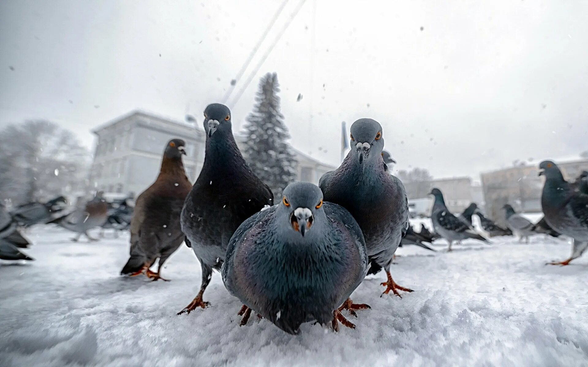 Какие нибудь другие города