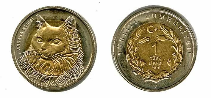 Монеты с кошачьими. Монеты кот д ивуар россыпью. Монеты 1 доллар полет на луну. Монета золотая спутник. Монеты кот д ивуар.