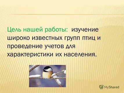Широко изученный