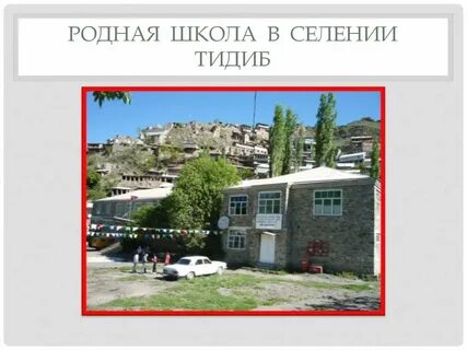 Погода в тидибе