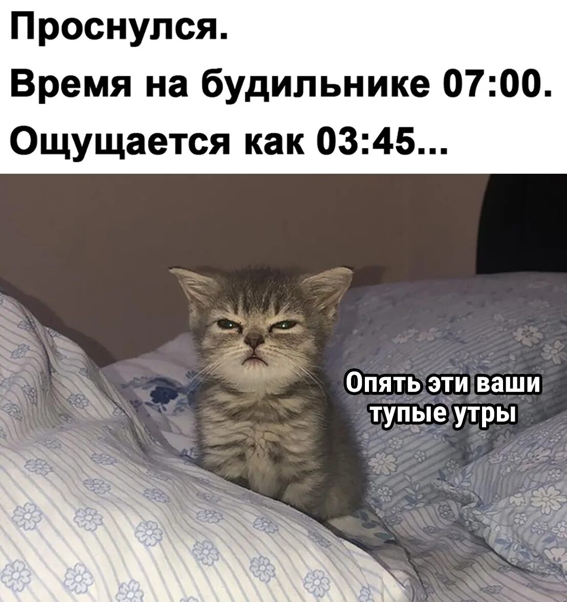 Снова от твоих сообщений
