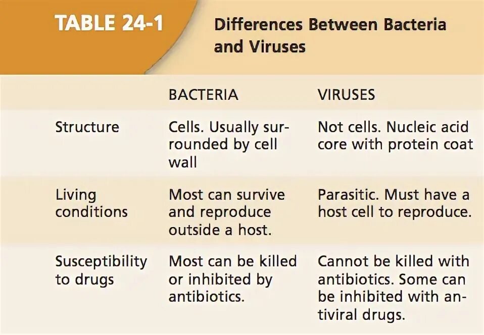 May be different and some. Bacterial viral and protozoal. viruses and bacteria degree of adjectives. difference between bacteria and viruses? thai. adapting language to describe viruses and bacteria.