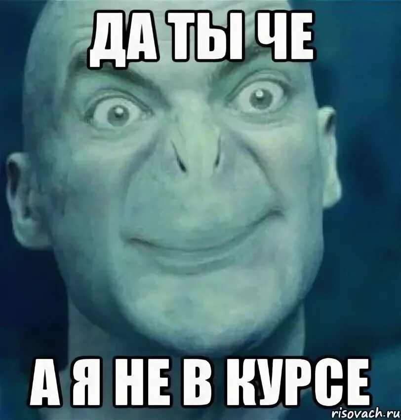 Ну да ну да мем. Да мем. Ну скажи. Бухаешь небось. Мемы да ты че.