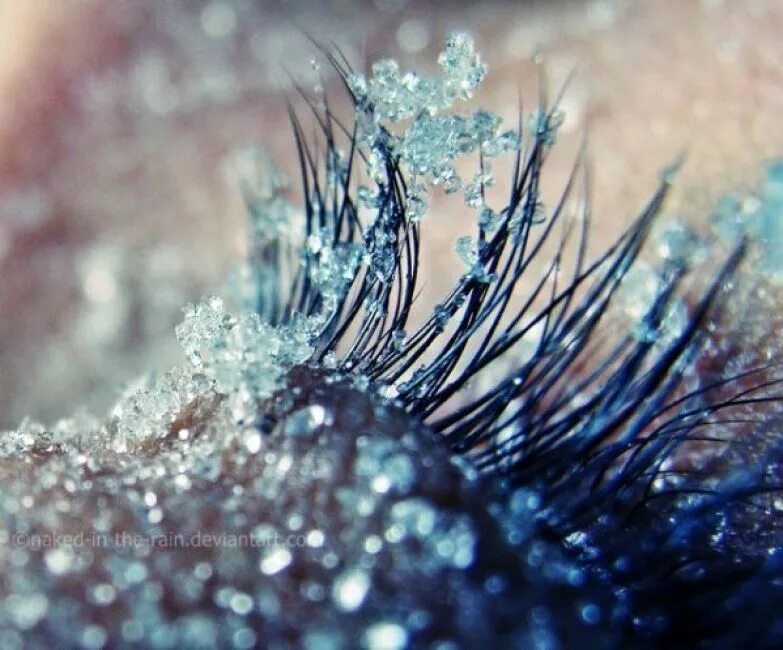 снег на ресницах. иней на окне. иней на ресницах. снег на ресницах. снежные ресницы.