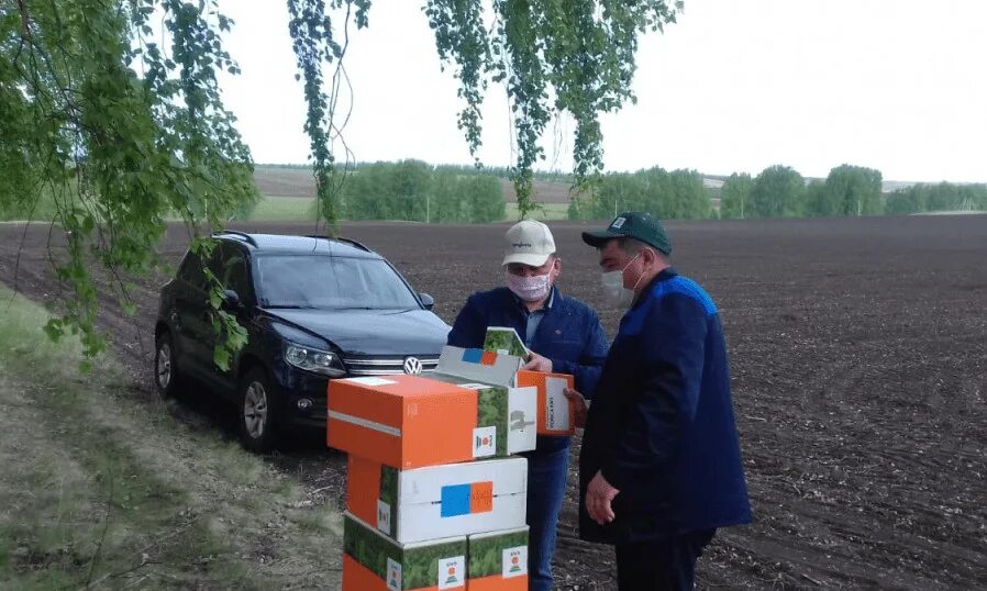 деревня толбазы аургазинский район. толбазы башкортостан. загс толбазы аургазинский район. толбазы улица сабитова. загс толбазах аургазинский район.