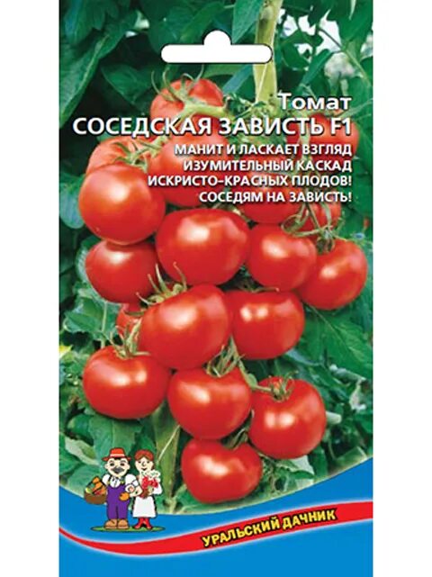 Сорт томата соседская. Сорт помидор соседская зависть. Томат соседская зависть семена. Томат соседская зависть f1. Семена томат "Уральский Дачник", "соседская зависть", f1, 20 шт..