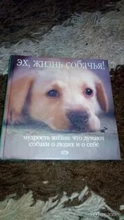 Книга собачья жизнь гриши и васьки