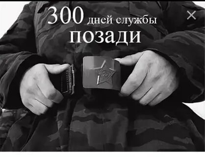 10 месяцев службы позади картинки