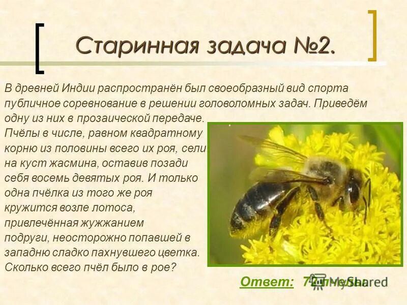 Пчелы под цифрой 1. Фонетический разбор слова пчёлы пчёлы. Бежит под цифрой 3. Пчелы под цифрой 1. У него под цифрой 1.