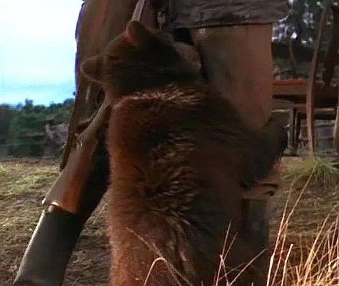 Особенности национальной охоты фильм с медведь. Снимали охоты. Снимали охоты. Особенности национальной охоты в зимний период (2000). Лева особенности национальной охоты.