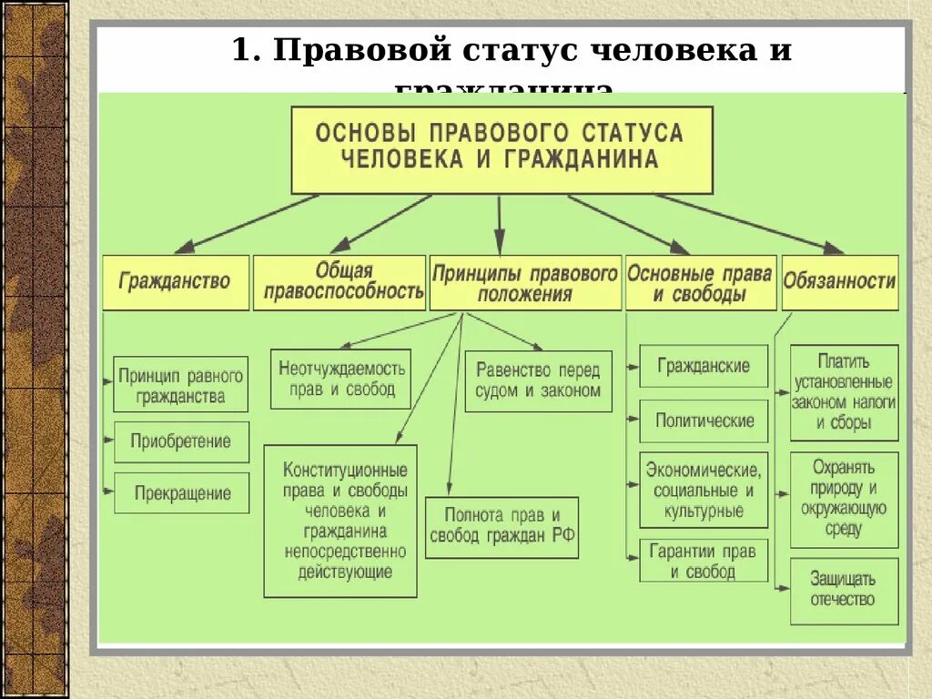 Составить правовые ситуации. Правовой статус личности человека и гражданина. Структура основ правового статуса. Основы правового статуса человека и гражданина в РФ таблица. Конституционные основы правового статуса личности в РФ.