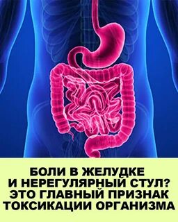 Обследование жкт