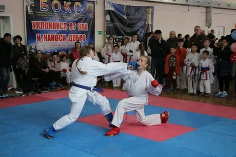 Спортивная школа восточных единоборств
