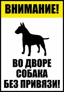 Во дворе собака что делать