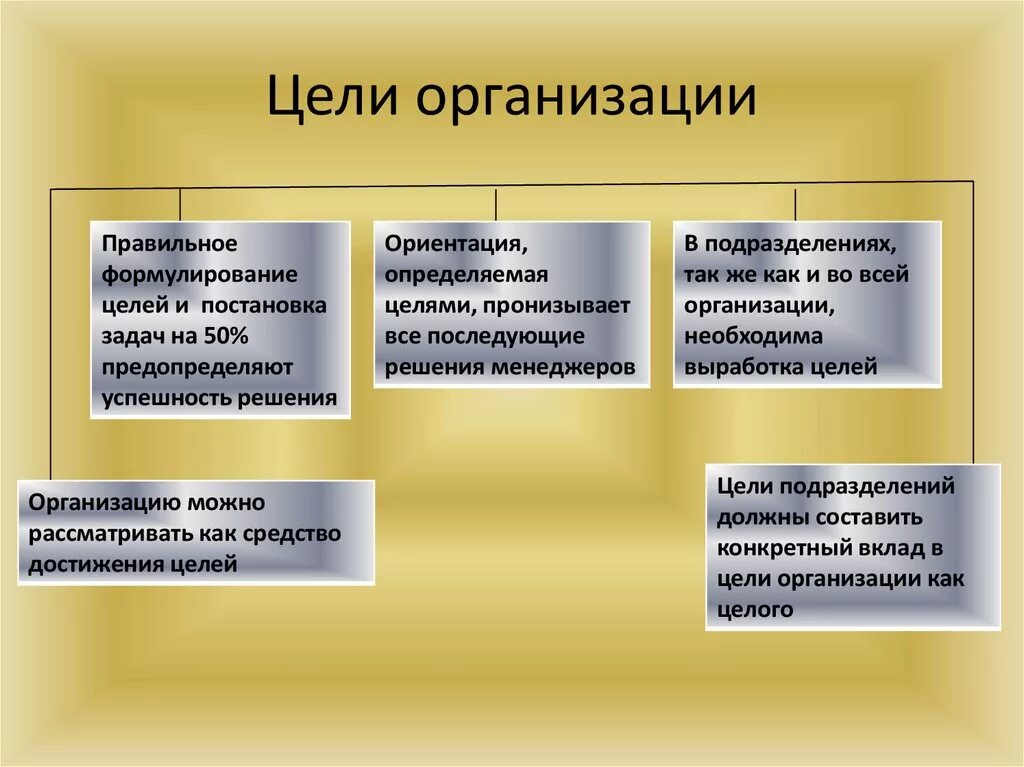 Деятельность организации бывает