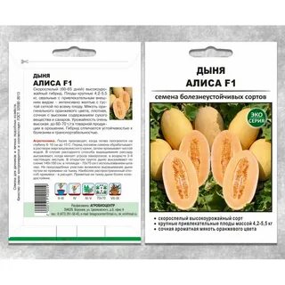Описание характеристик дынь