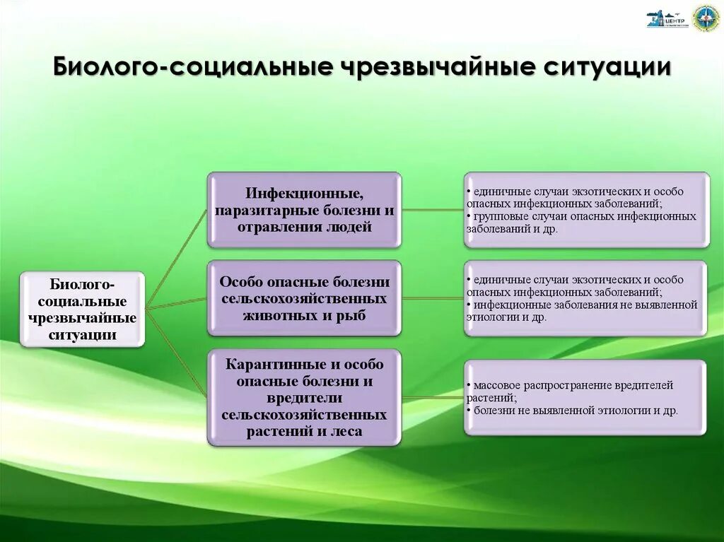 Биолого социальные чрезвычайные ситуации обж 10 класс. Биолого-социальные ЧС. К биолого-социальным чрезвычайным ситуациям относятся:. ЧС биолого-социального характера. ЧС биллогосоциального характера.