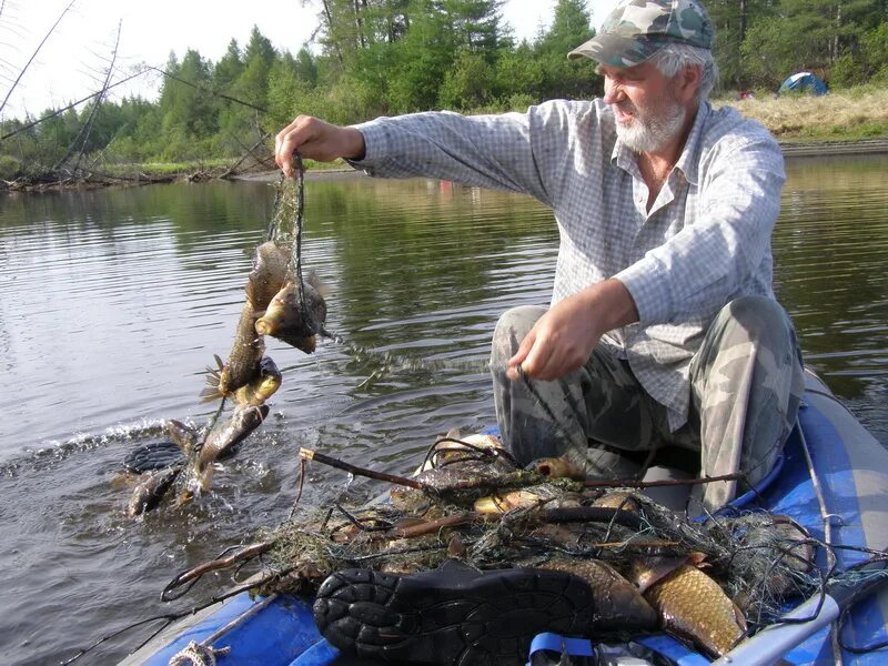 Куда ездят на рыбалку. Рыбалка на дону. Судак и щука отличия фото. Река олекма рыбалка. Рыбалка на волге летом.