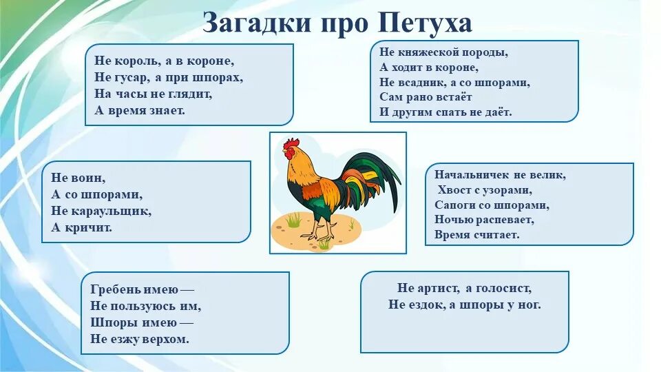 Загадка про кур. Загадка про петушка для детей. Загадка про петушка для малышей. Загадка про петуха для детей. Загадка про пе уха для детей.