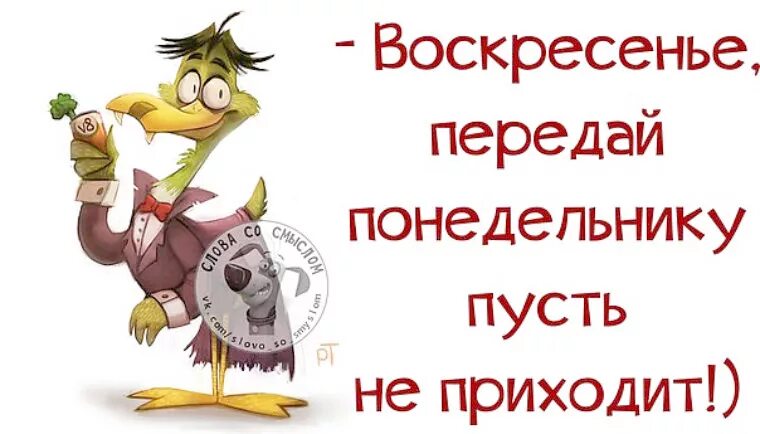 Почему воскресного. Воскресенье юмор. Веселого воскресенья картинки. Воскресенье открытки с юмором. Смешные картинки про воскресенье.