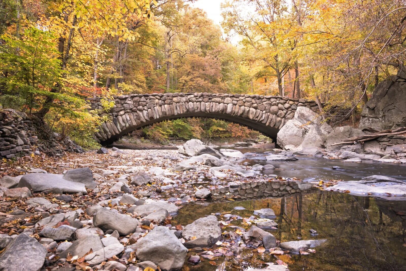 Creek. Rock creek. Arlington creek. Rock creek. Слайго крик парк.