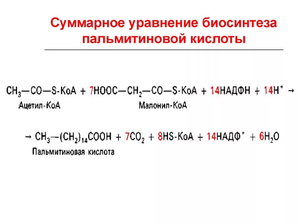 Окисление в биосинтезе. Суммарное уравнение биосинтеза пальмитиновой кислоты. Суммарное уравнение синтеза пальмитиновой кислоты. Первый цикл синтеза пальмитиновой кислоты. Суммарная реакция синтеза пальмитиновой кислоты.