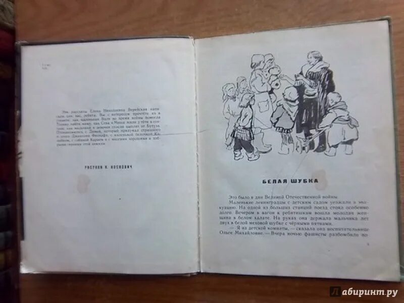Белая шубка кратчайшее содержание. Елена верейская белая шубка читательский дневник. Шуба сказка белая. Белая шубка кратчайшее содержание. Георгий скребицкий белая шубка.
