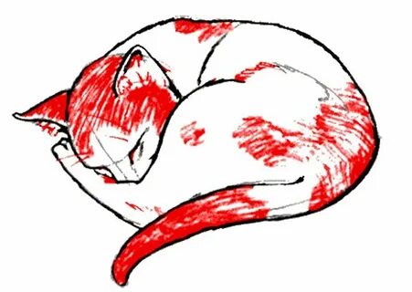Кошка 5 кг свернулась клубочком