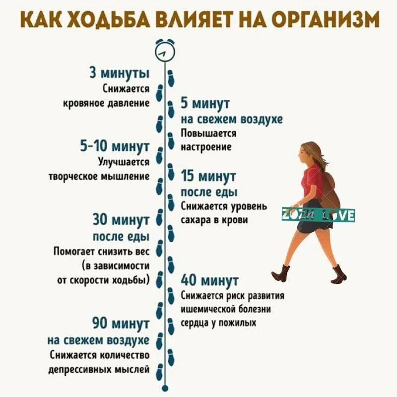 Хожу форум