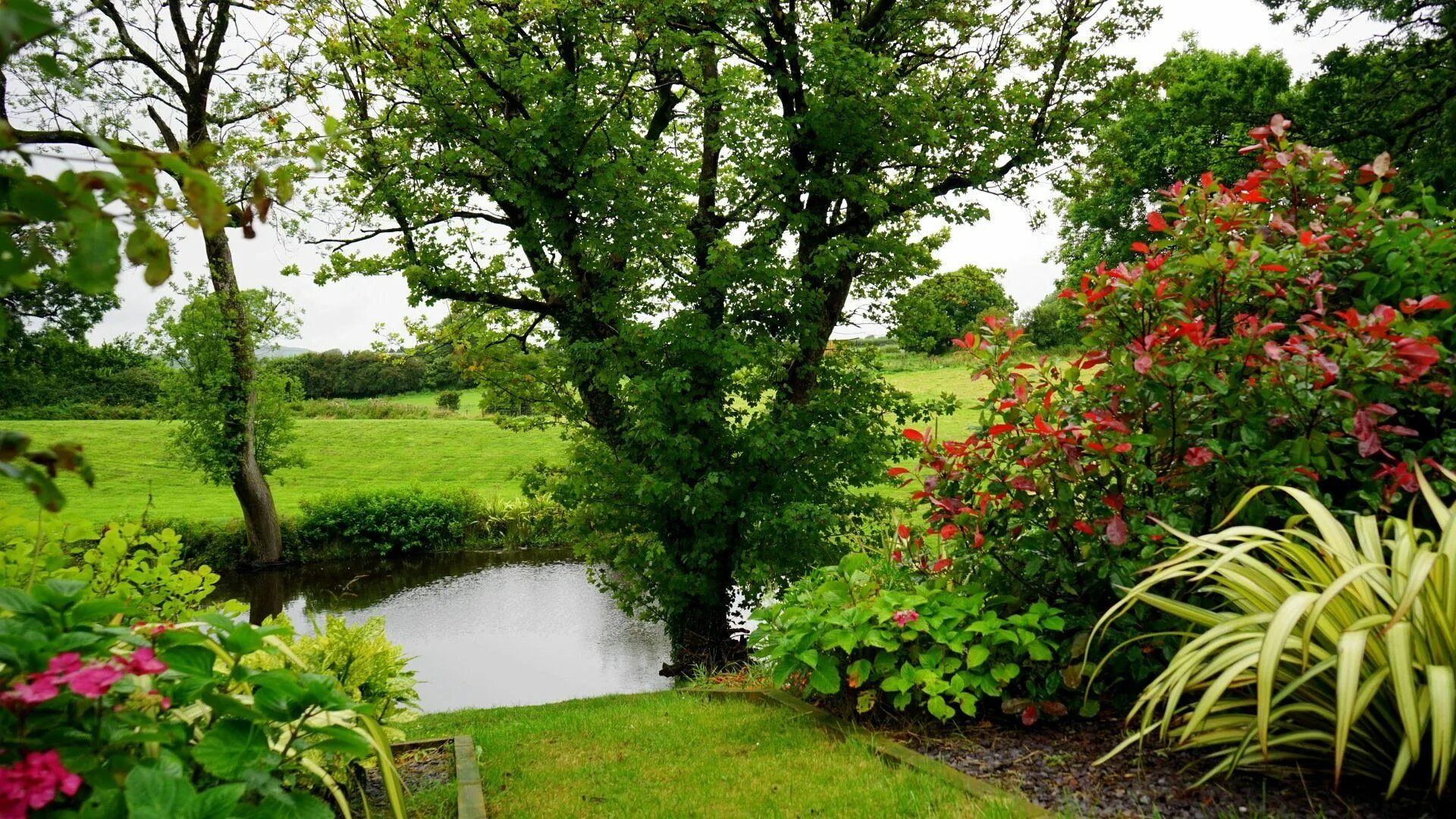 There are and in the garden