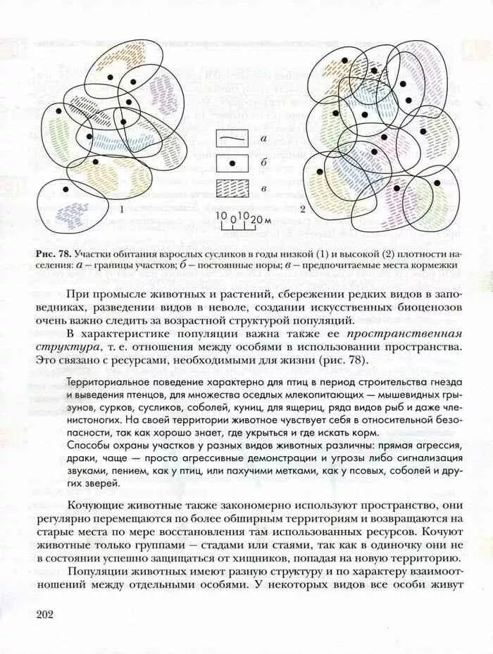 Учебник по биологии 9 класс. Учебник по биологии 9 класс читать. Биология 9 класс учебник Пономарева. Биология 9 класс учебник Чернова. Учебник по биологии 9 класс пономарева читать