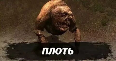 Влажная плоть