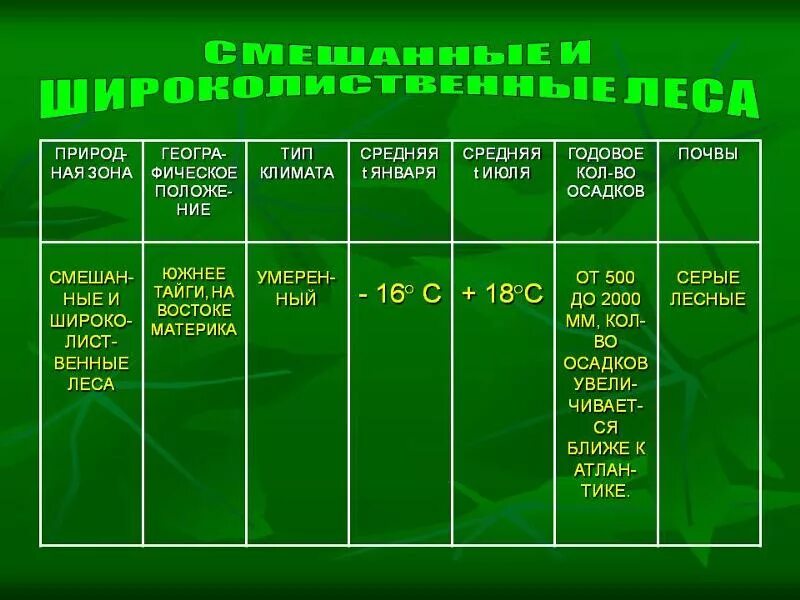 Таблица природные богатства 3 класс окружающий. Климат широколиственных лесов таблица. Таблица природная зона широколиственных лесов. Таблица природные зоны Тайга смешанные и широколиственные леса. Смешанные леса природная зона таблица.