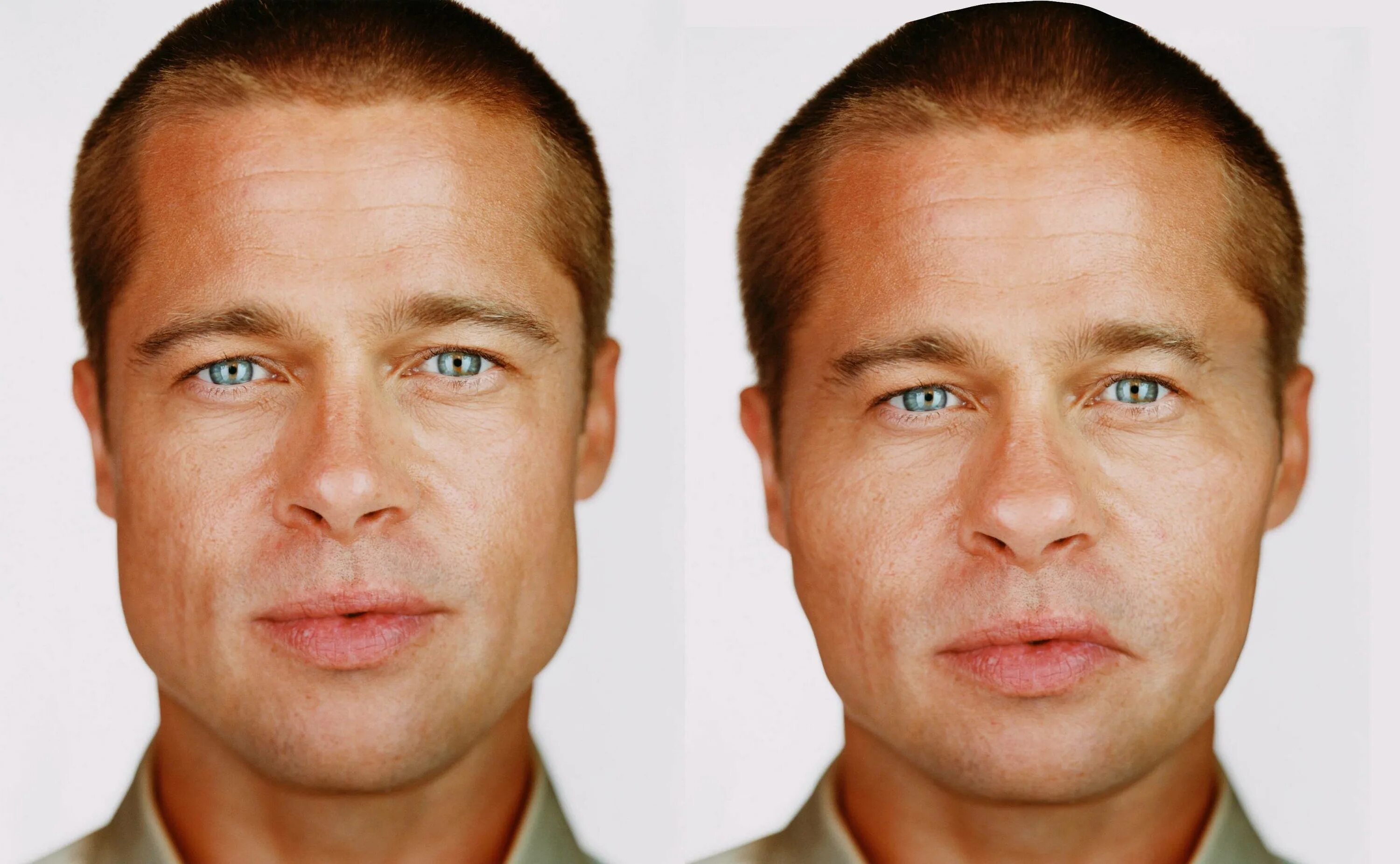 Брэд Питт анфас. Брэд Питт симметрия лица. Американские черты лица. Славянский Тип лица мужчины.