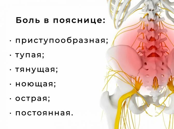 Болит желудок после еды. Мемы про 26 лет. Постоянно ноет. Почему не проходит боль в горле. Боль в правом подреберье.