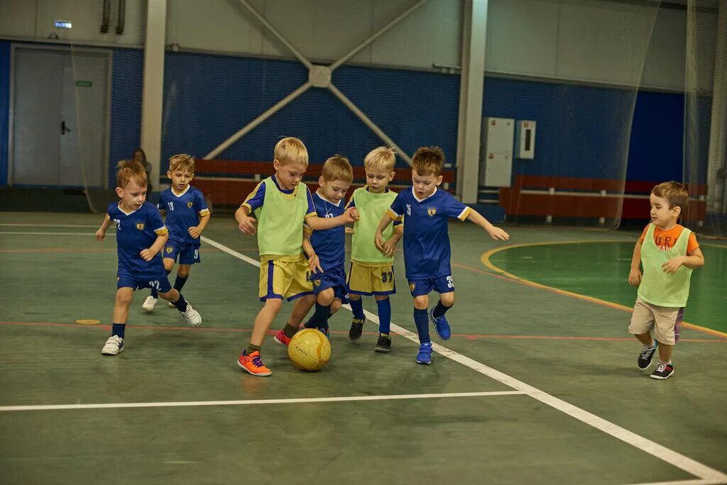 Рыжков дмитрий николаевич военторг москва. Краснознаменск гимнастика виктории островской. Краснознаменск спортивная школа. Ковёр для занятий рукопашным боем. Ск конструктор борцовский зал.